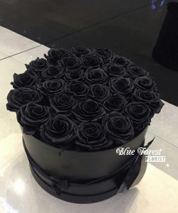 荷蘭黑玫瑰花盒
