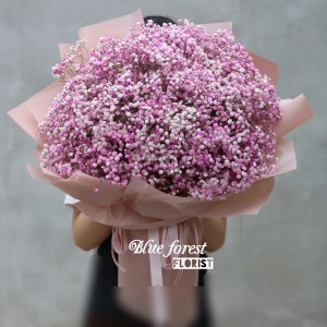 韓式求婚滿天星大花束