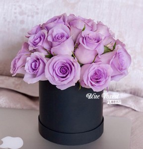 18枝荷蘭淺紫玫瑰花盒