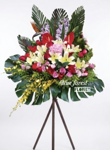 開張花籃3