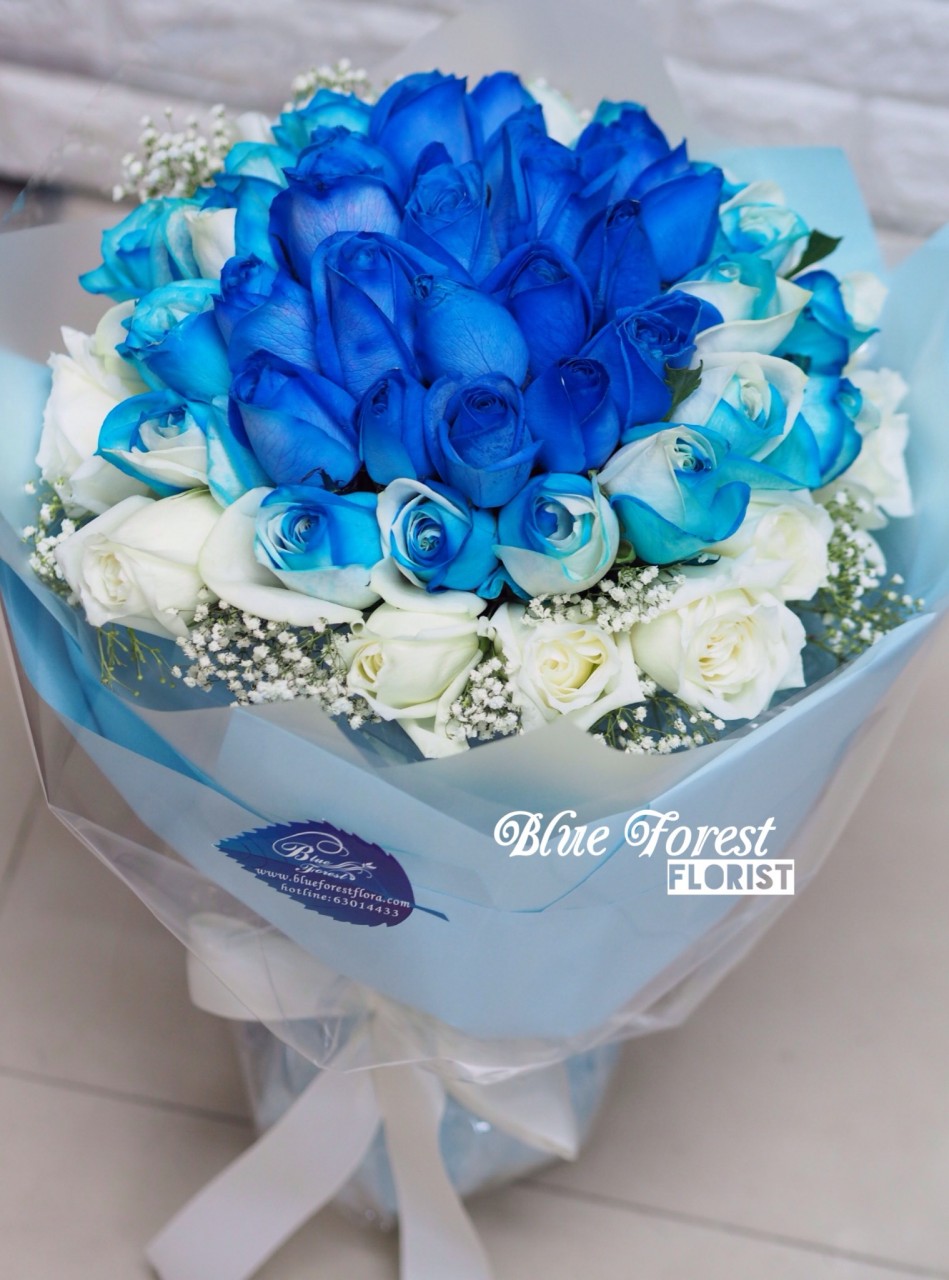 創意款式 30枝3色漸變藍玫瑰花束 Blue Forest