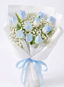 10支裝荷蘭冰藍色鬱金香花束