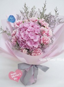 Mother's day精選*康乃馨配荷蘭粉紅秀球花束