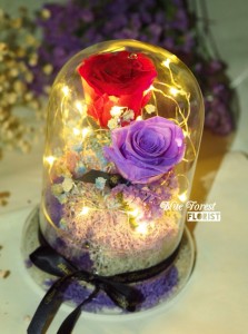 保鮮•愛系列 *LED玻璃罩玫瑰保鮮花（紅/紫）*可免費刻上名或祝福字句