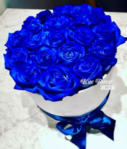 18枝荷蘭深藍玫瑰花盒	