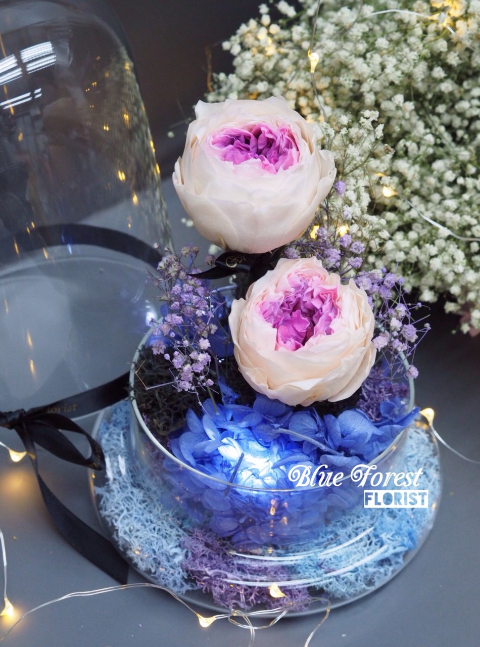 保鲜•爱系列 *发光玻璃罩Garden Rose保鲜花*可免费刻上名或祝福字句